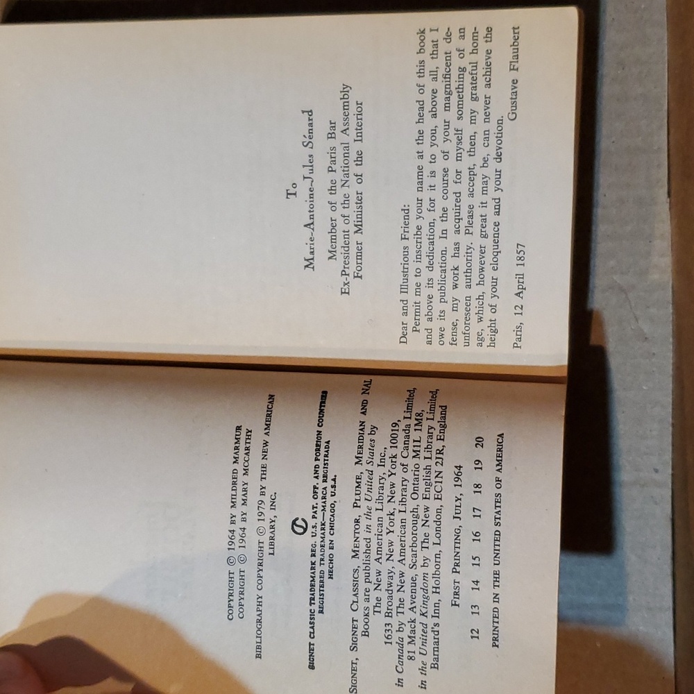 🇫🇷 Madame Bovary Gustave Flaubert paperback book - Picture 7 of 11